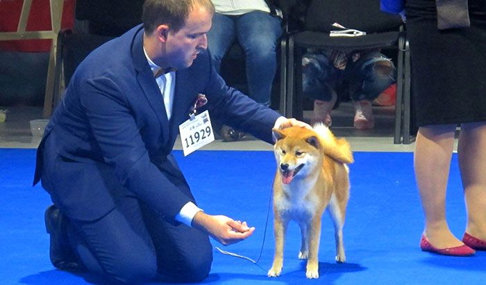 EURODOGSHOW 2018 Varšava