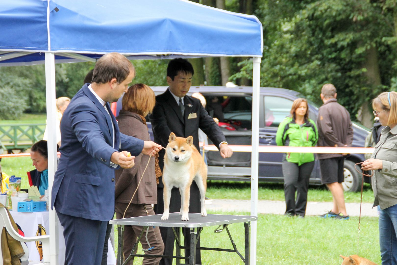 4th Speciality show for japanese breeds - Strzelce Opolskie, Polsko